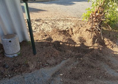 After Stump Grinding