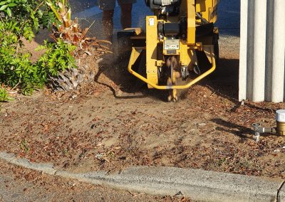 During Stump Grinding